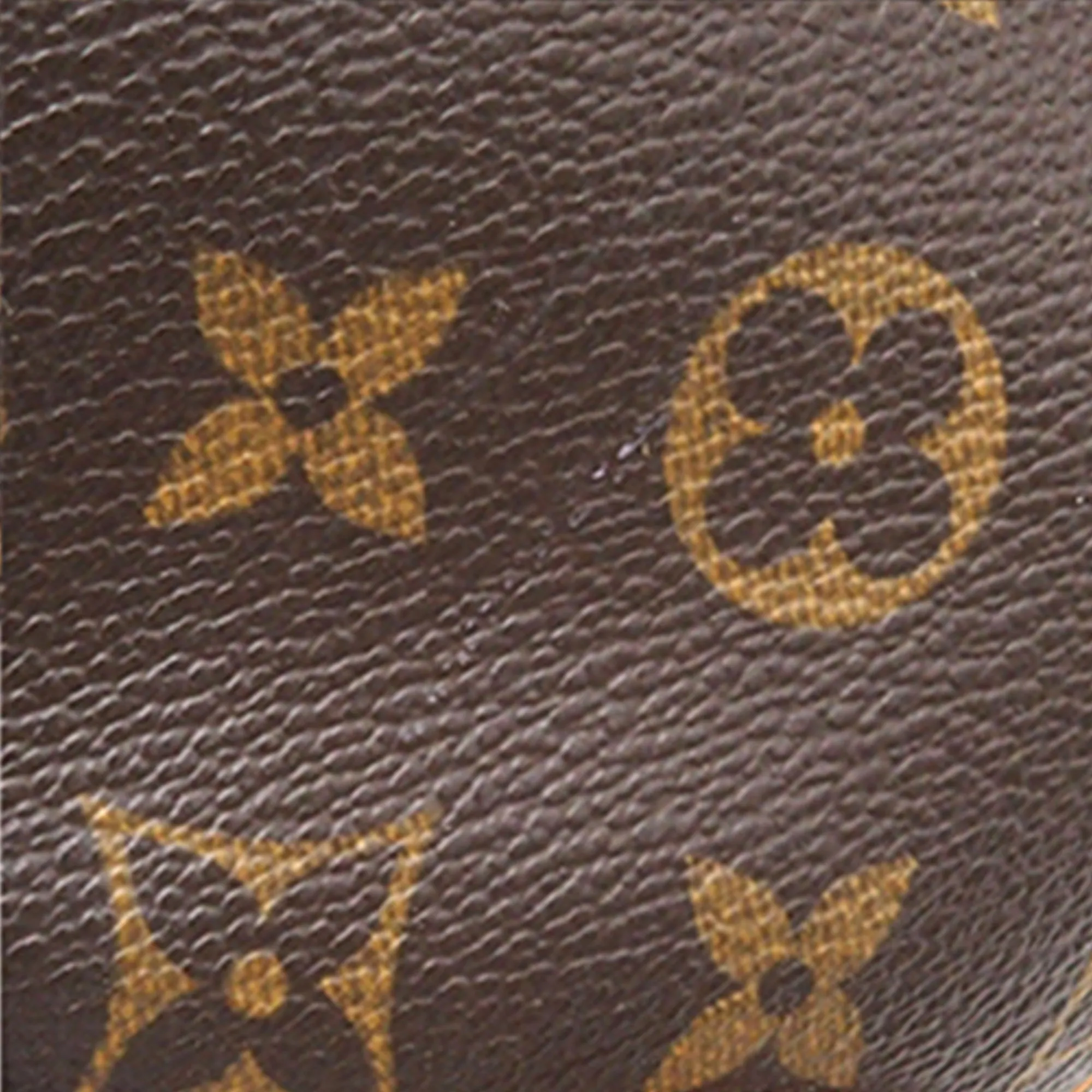 Brown Louis Vuitton Monogram Nil Crossbody Bag