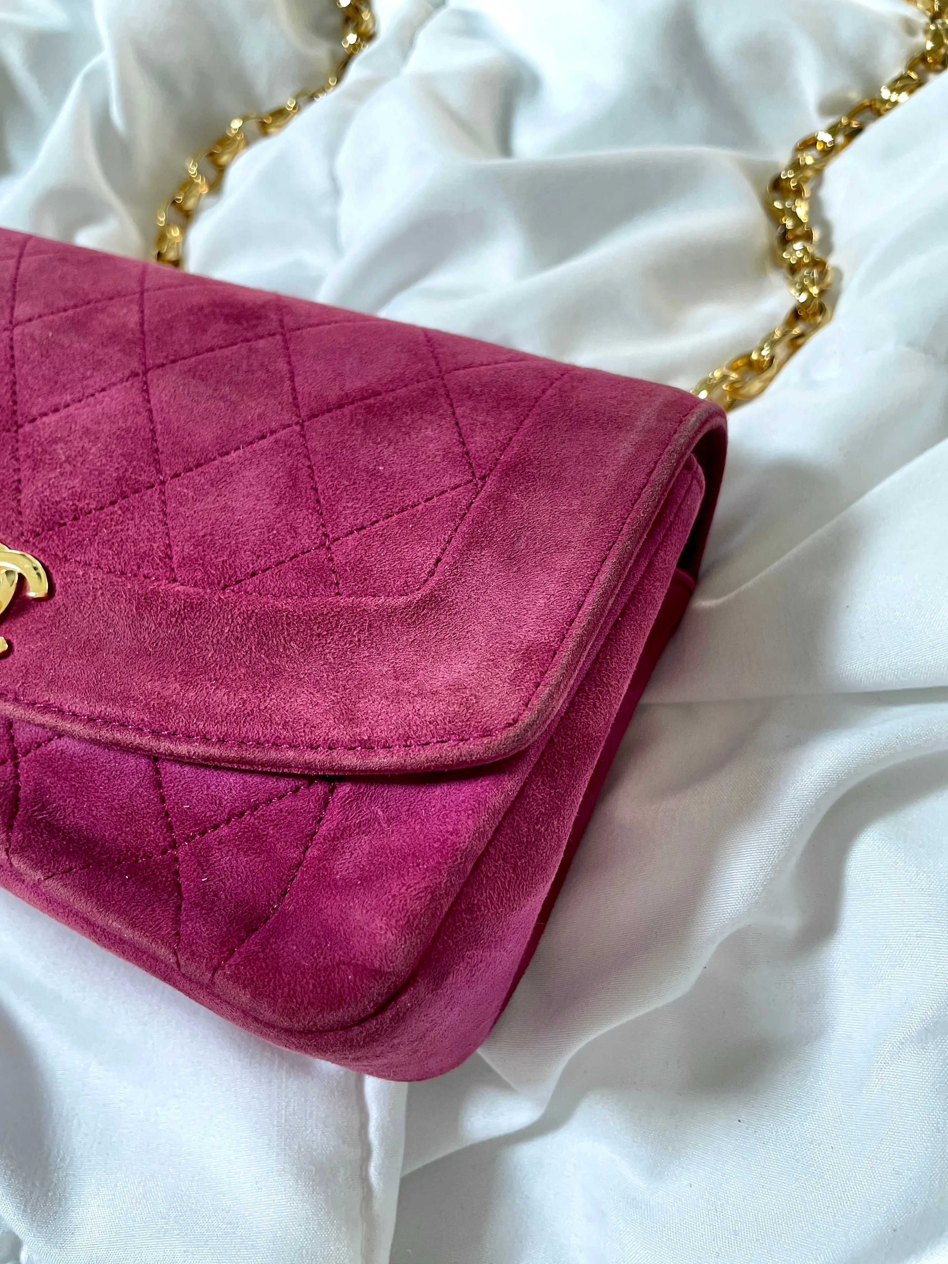 Extremely Rare CL Suede Mini Diana Bag