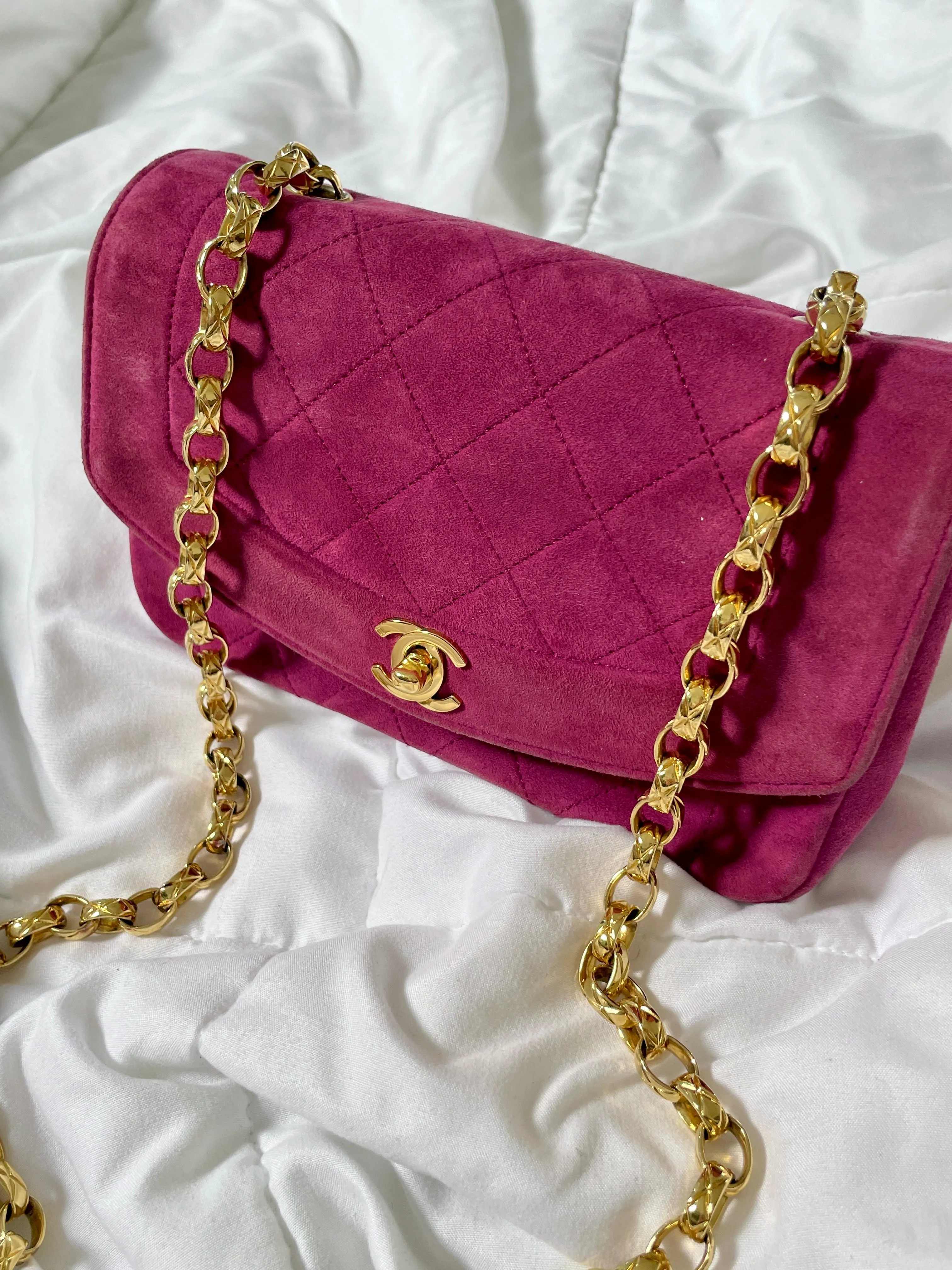 Extremely Rare CL Suede Mini Diana Bag