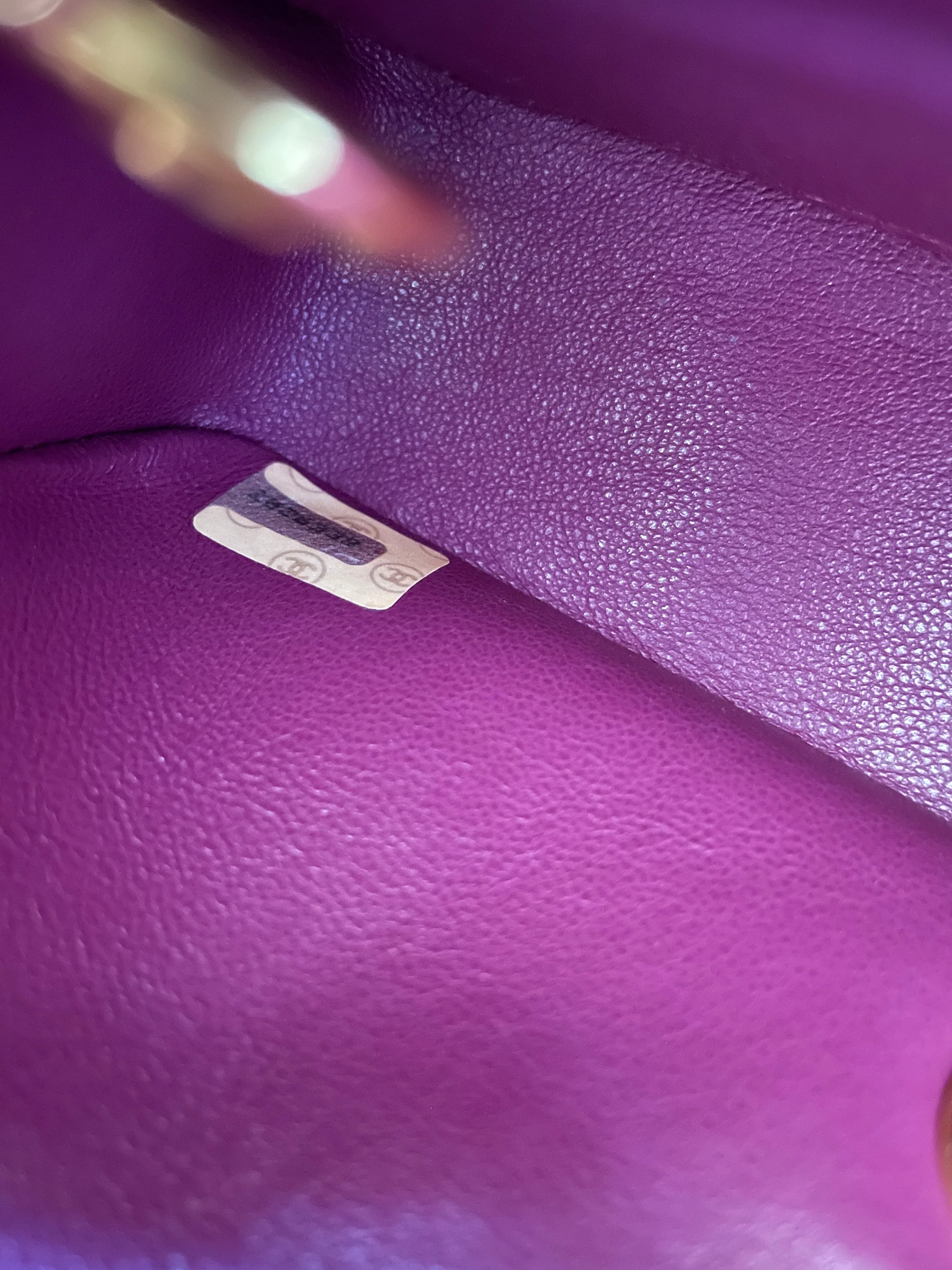 Extremely Rare CL Suede Mini Diana Bag