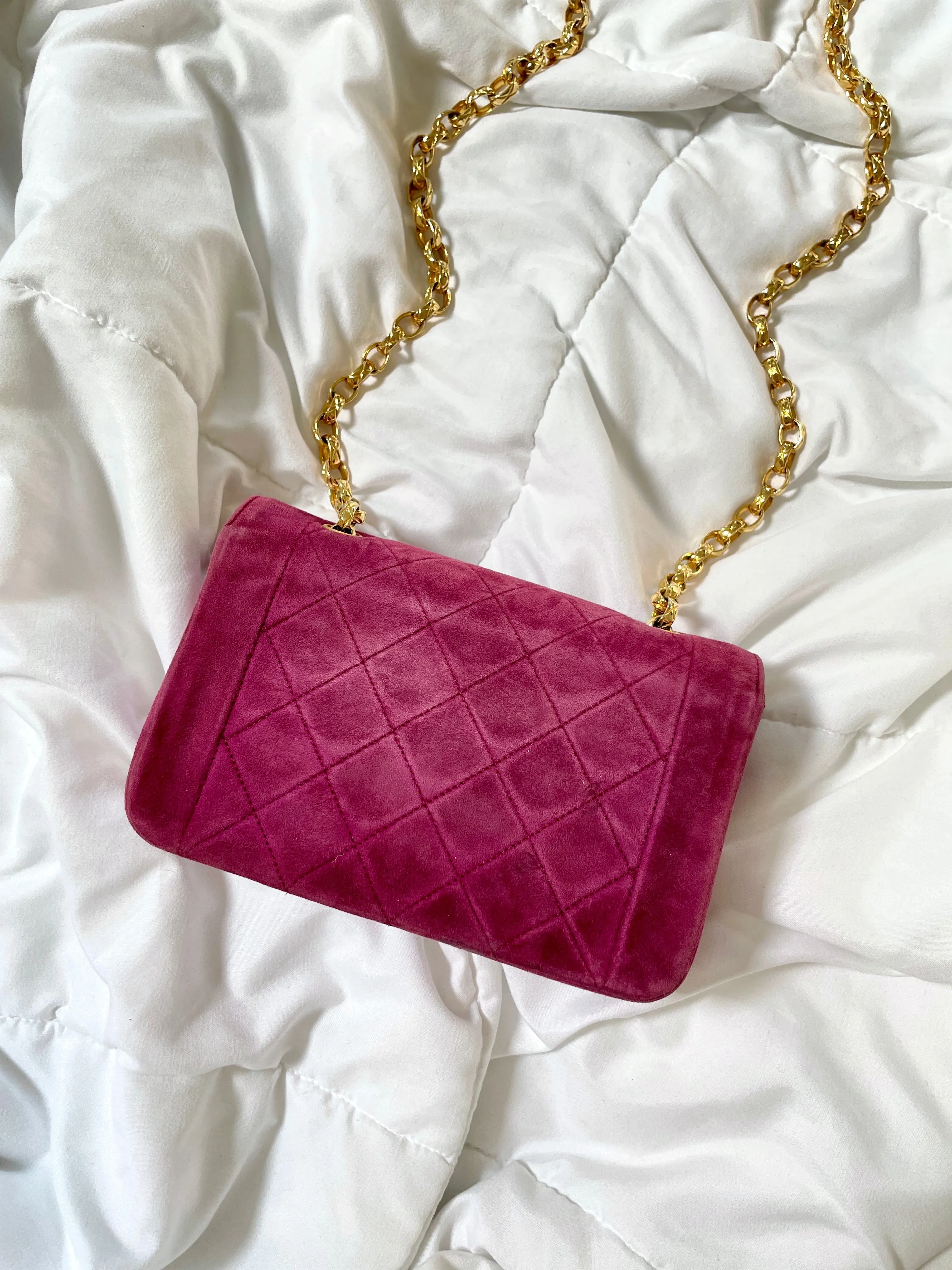 Extremely Rare CL Suede Mini Diana Bag