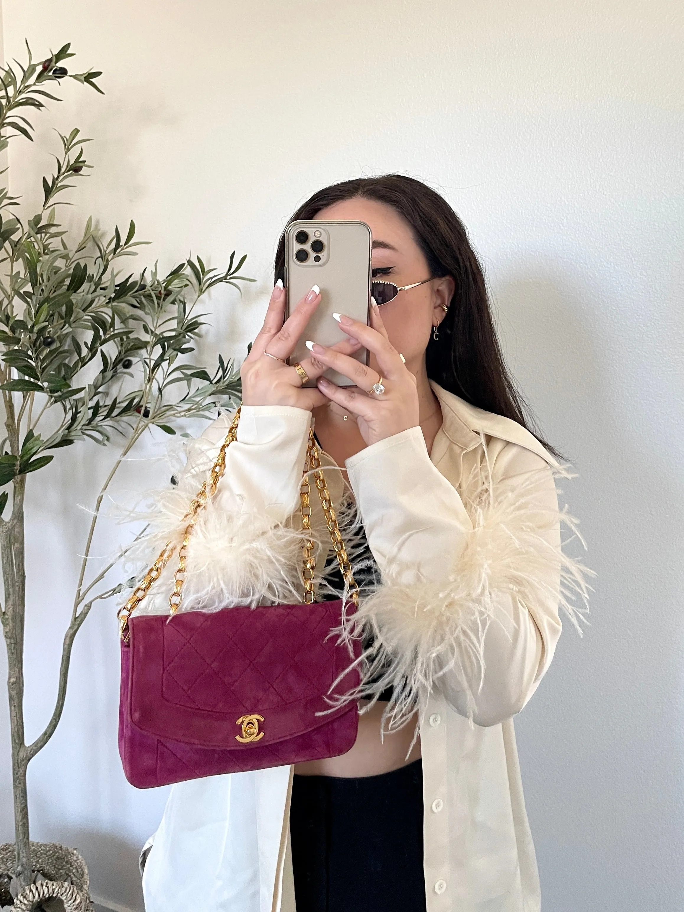 Extremely Rare CL Suede Mini Diana Bag