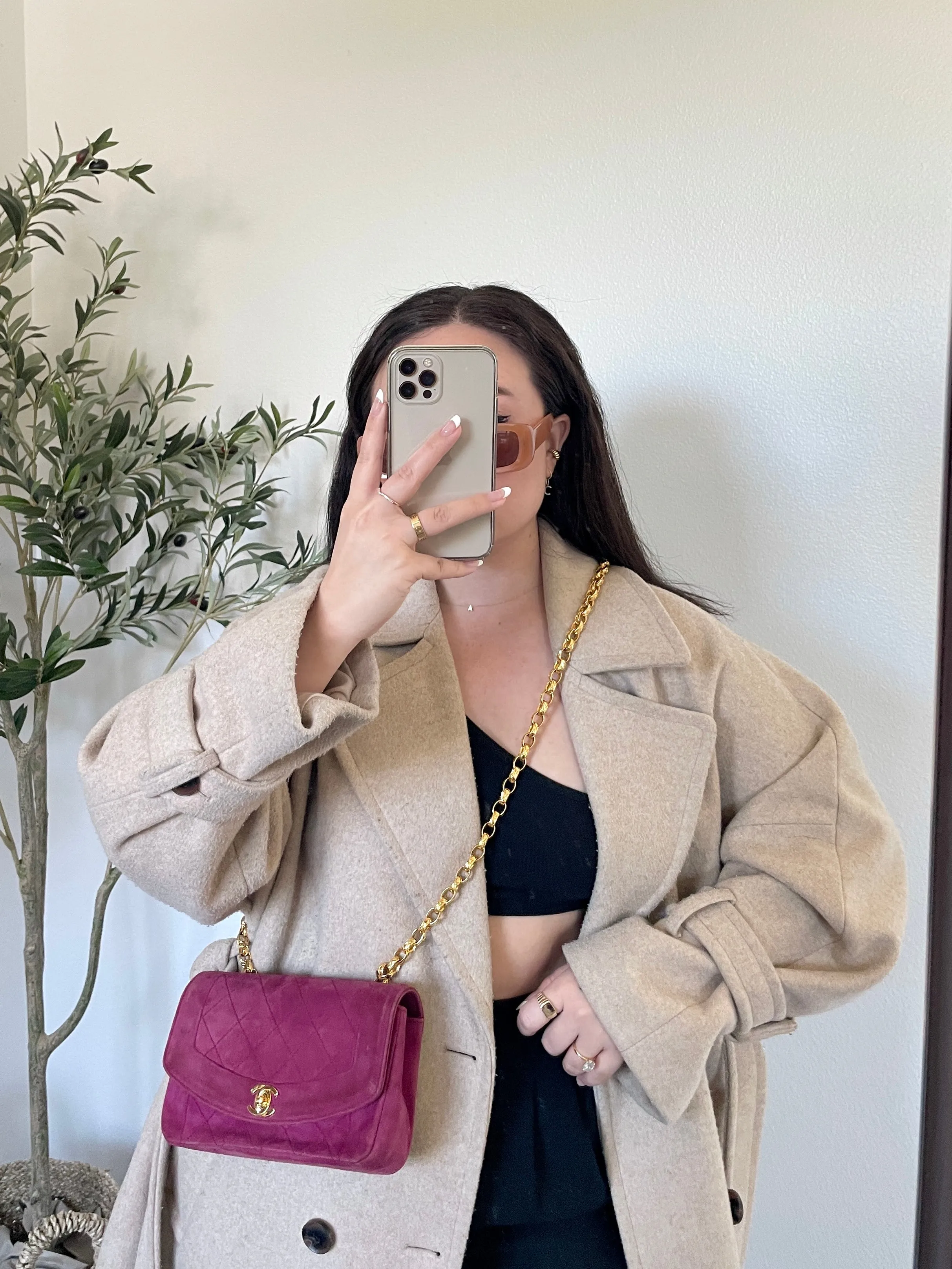 Extremely Rare CL Suede Mini Diana Bag
