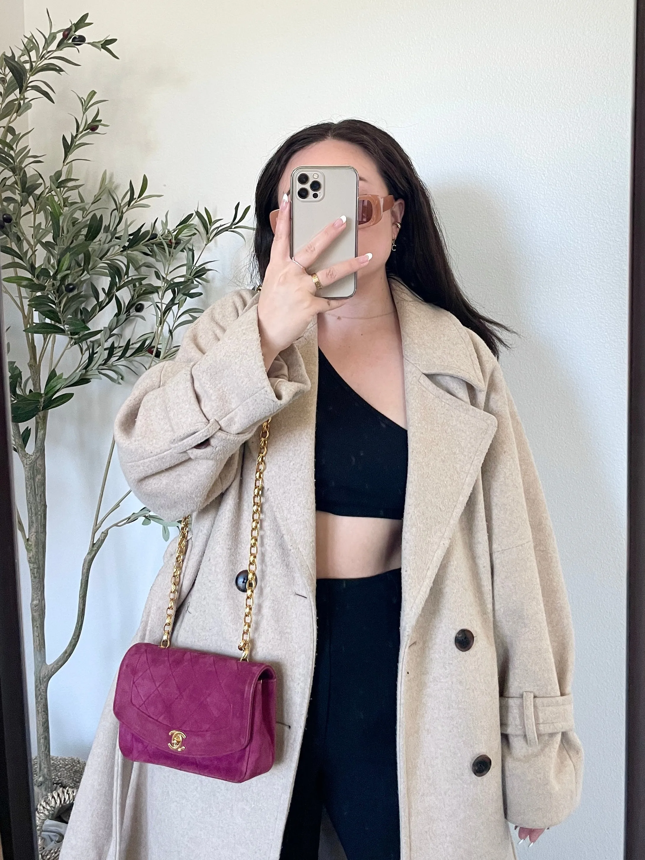 Extremely Rare CL Suede Mini Diana Bag