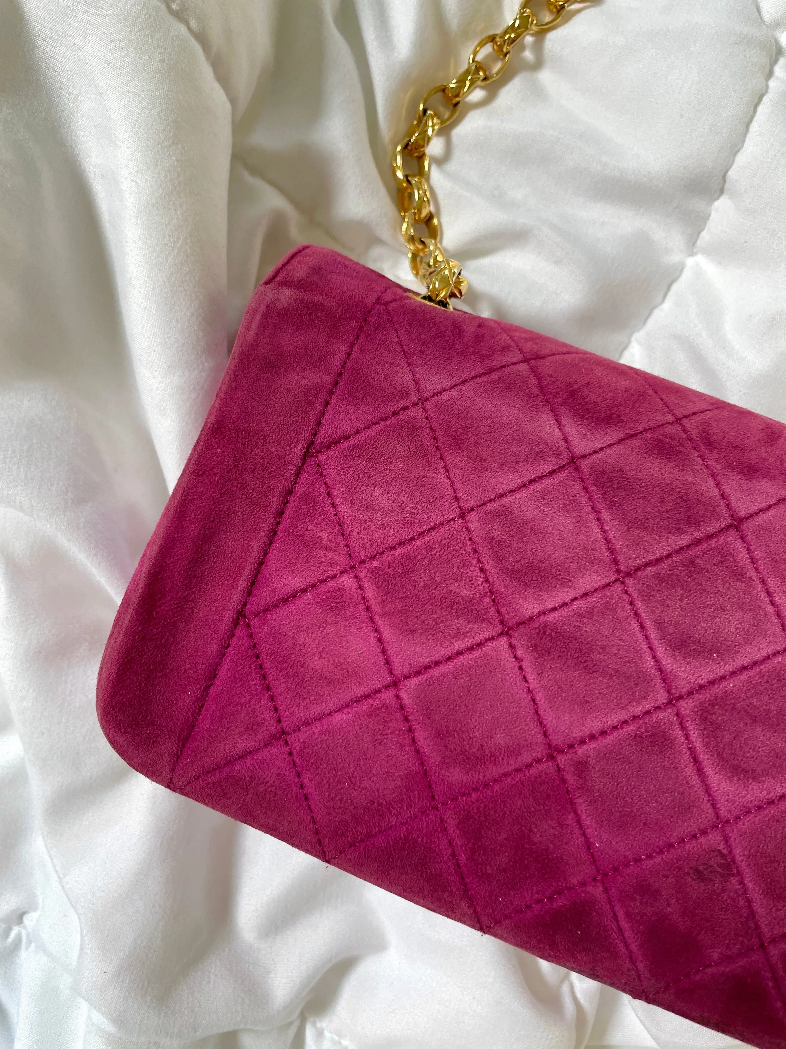 Extremely Rare CL Suede Mini Diana Bag