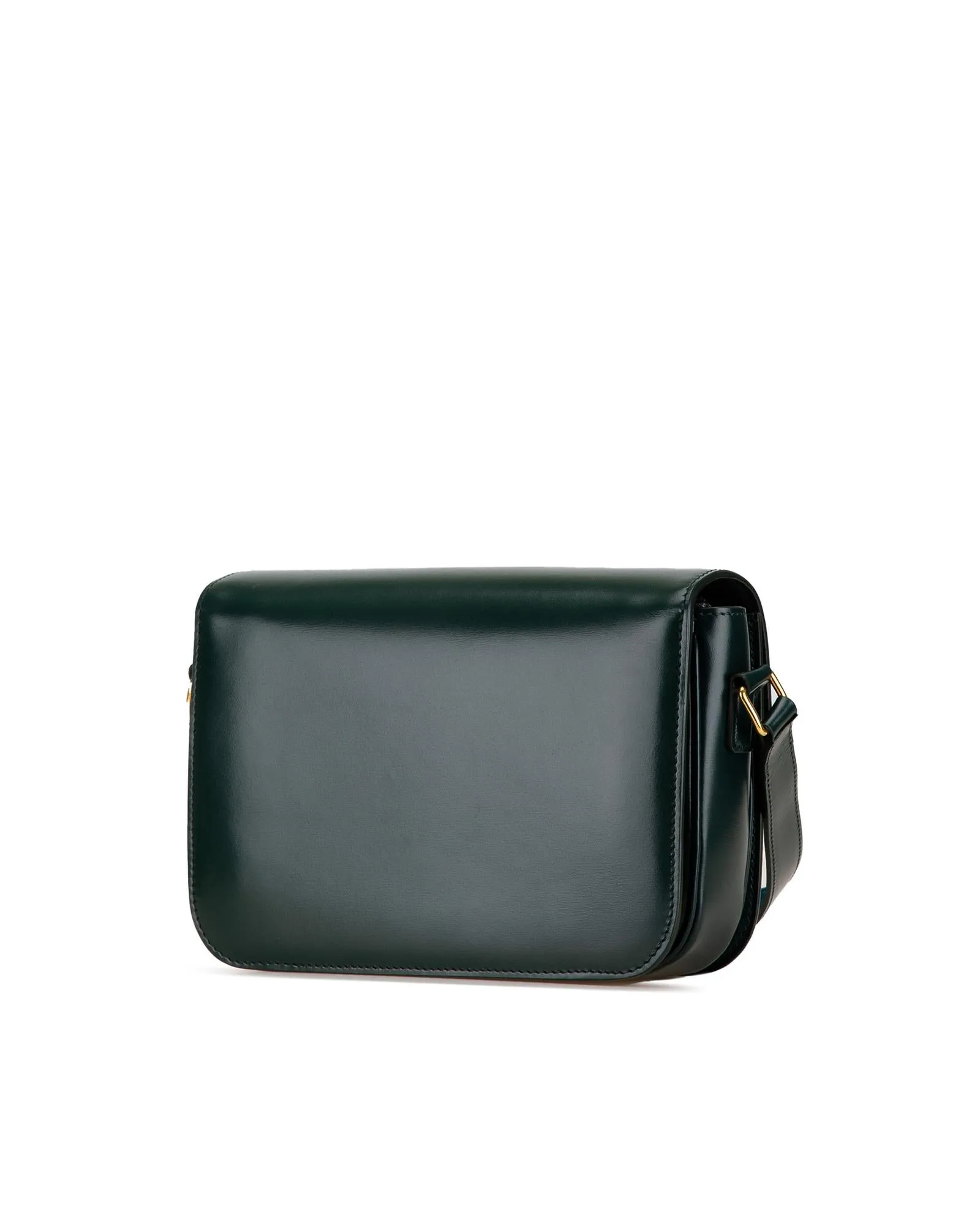 Medium Calfskin Triomphe Crossbody Bag with Adjustable Strap and Interior Pockets