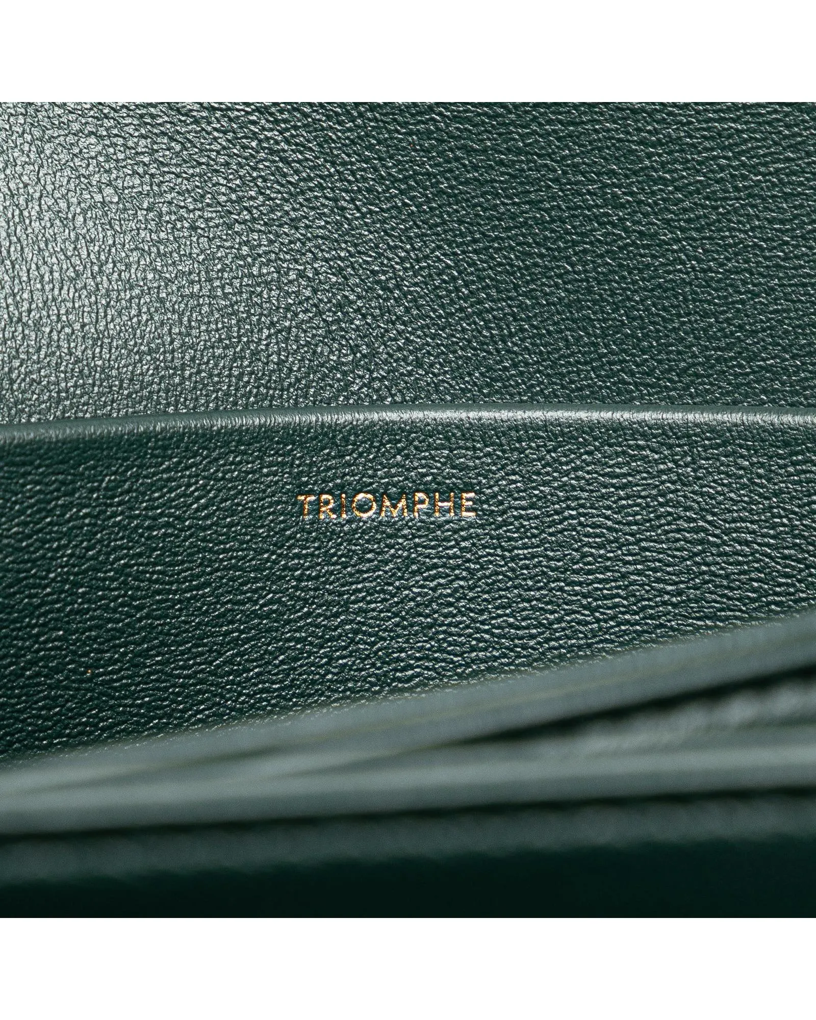 Medium Calfskin Triomphe Crossbody Bag with Adjustable Strap and Interior Pockets