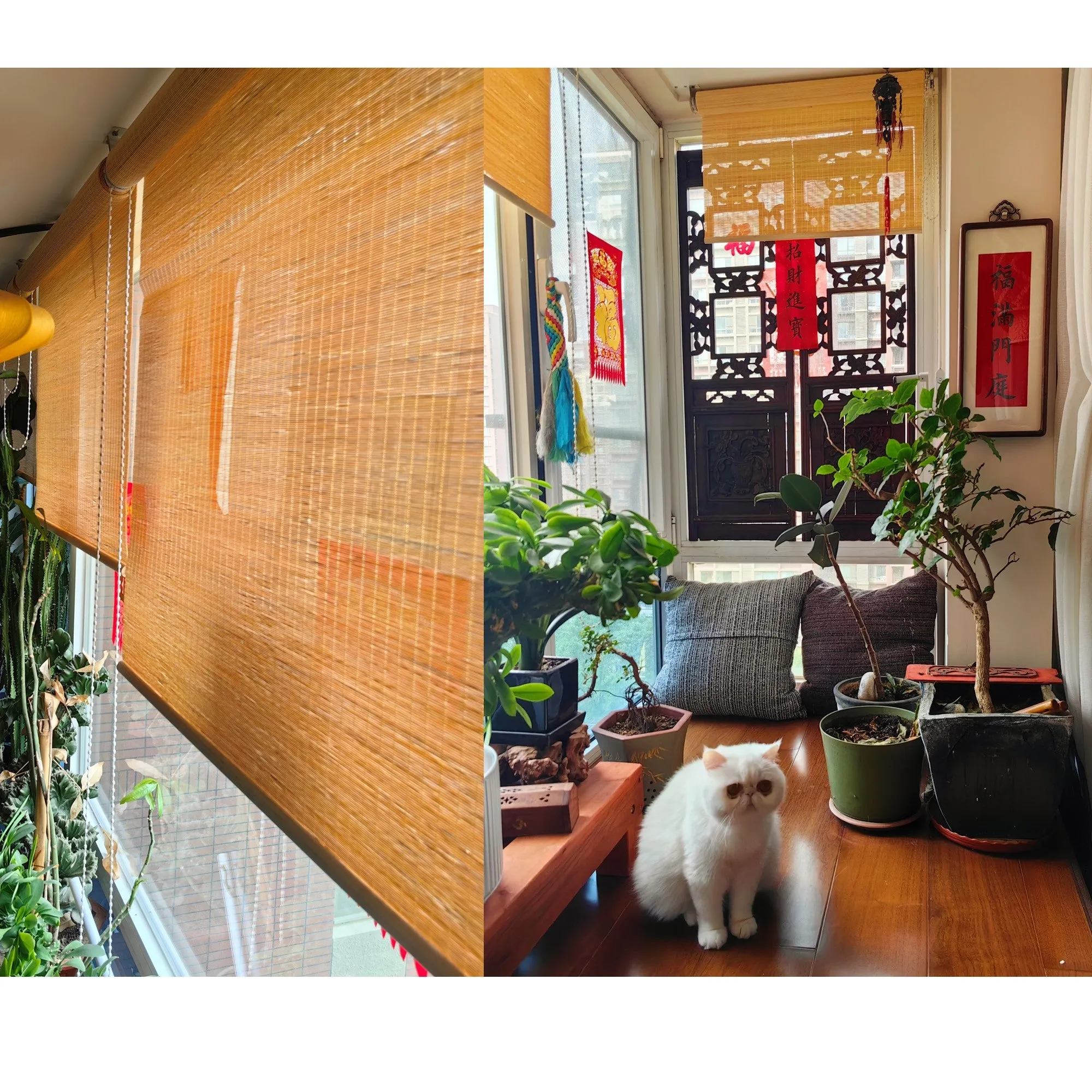 Natural Bamboo Zen Vibes Window Roller Shade Blinds